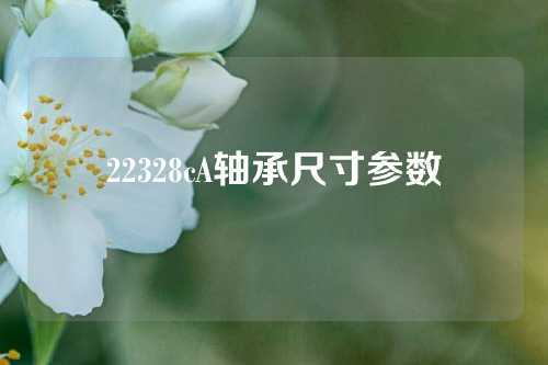 22328cA轴承尺寸参数