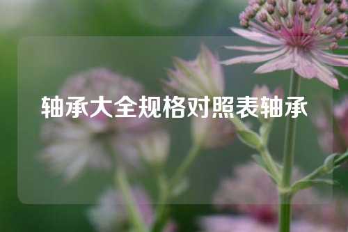 轴承大全规格对照表轴承