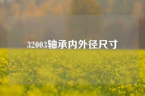 32003轴承内外径尺寸