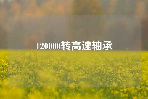 120000转高速轴承