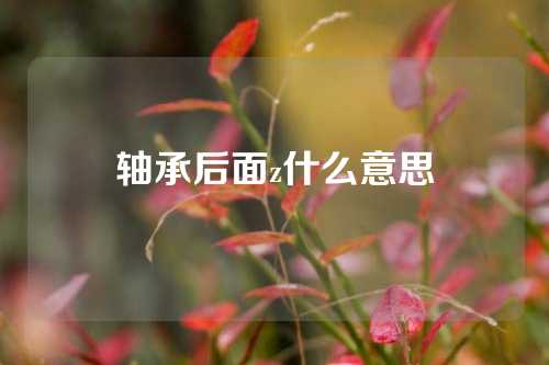 轴承后面z什么意思