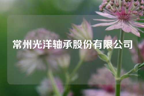 常州光洋轴承股份有限公司