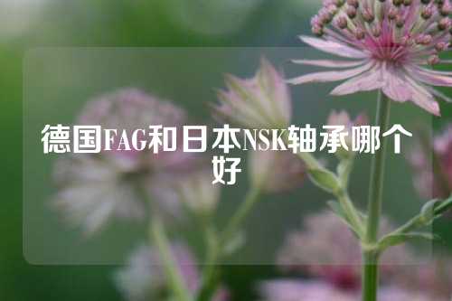 德国FAG和日本NSK轴承哪个好