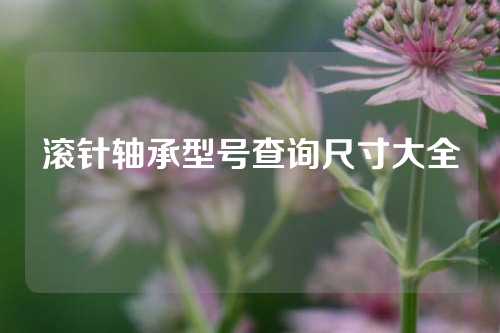 滚针轴承型号查询尺寸大全