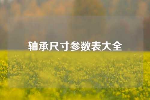 轴承尺寸参数表大全