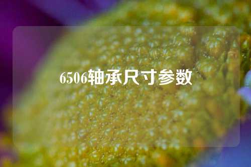 6506轴承尺寸参数