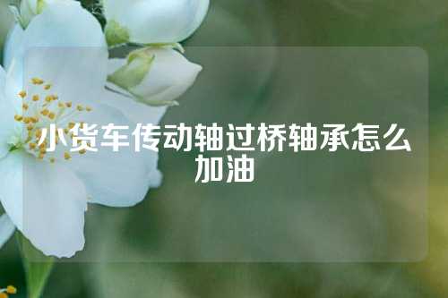 小货车传动轴过桥轴承怎么加油