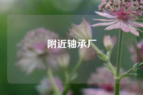 附近轴承厂