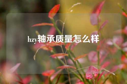 hzy轴承质量怎么样