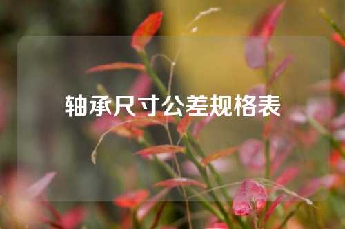 轴承尺寸公差规格表