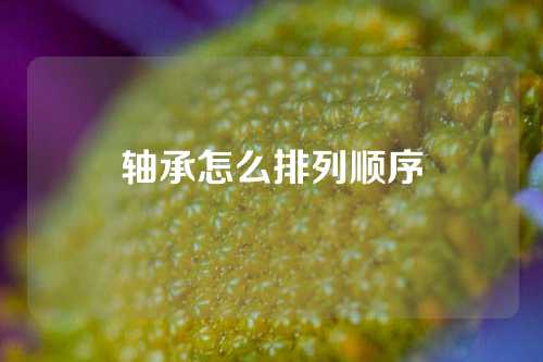 轴承怎么排列顺序