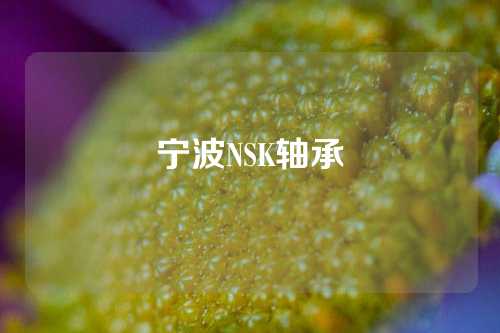 宁波NSK轴承