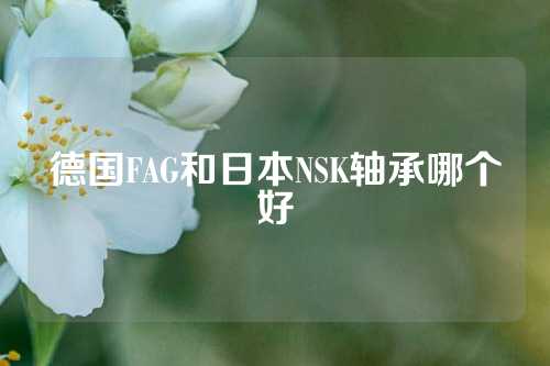 德国FAG和日本NSK轴承哪个好