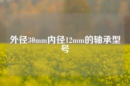 外径30mm内径12mm的轴承型号