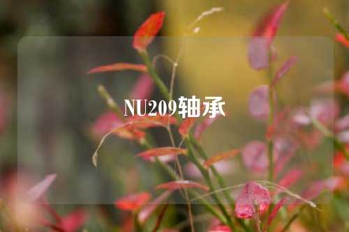 NU209轴承