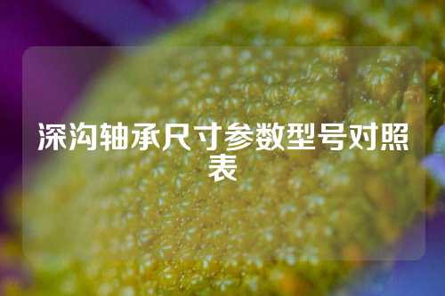 深沟轴承尺寸参数型号对照表