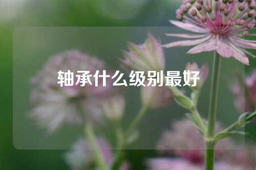 轴承什么级别最好