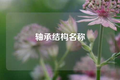 轴承结构名称