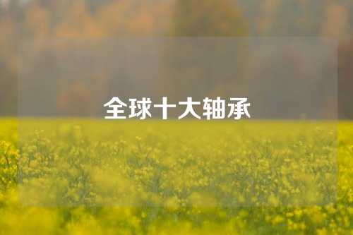 全球十大轴承