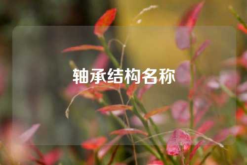 轴承结构名称