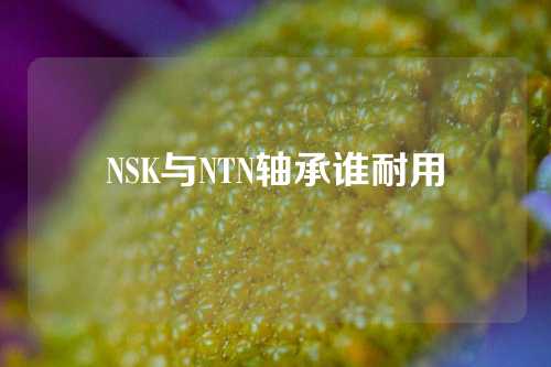 NSK与NTN轴承谁耐用