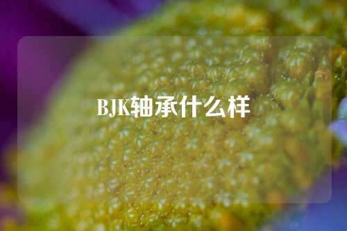 BJK轴承什么样