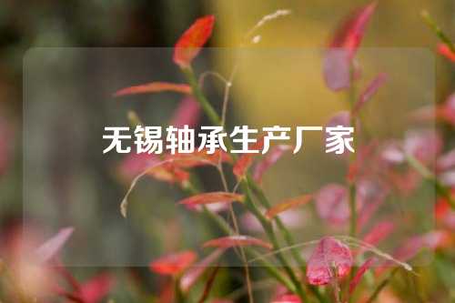 无锡轴承生产厂家