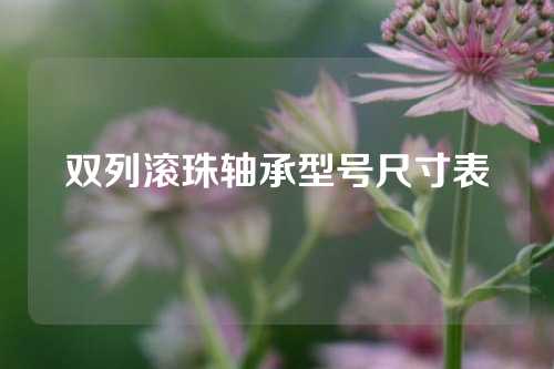 双列滚珠轴承型号尺寸表