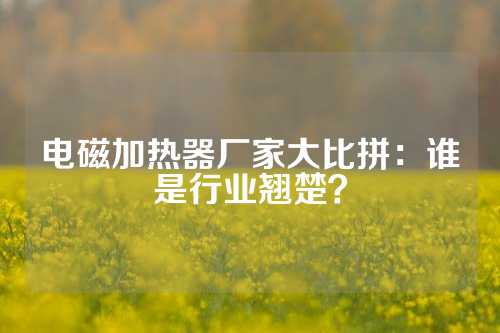 电磁加热器厂家大比拼：谁是行业翘楚？