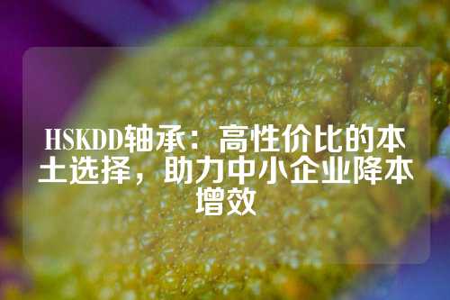 HSKDD轴承：高性价比的本土选择，助力中小企业降本增效