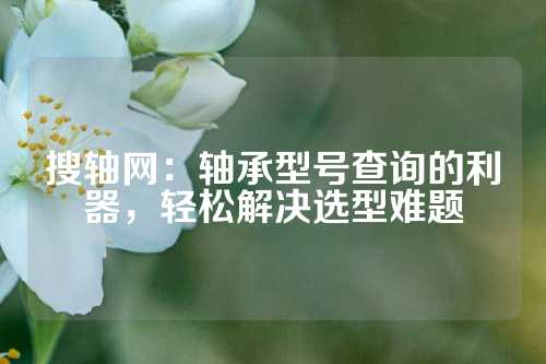 搜轴网：轴承型号查询的利器，轻松解决选型难题