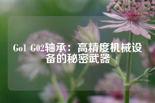 Go1 G02轴承：高精度机械设备的秘密武器