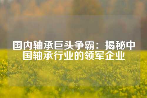 国内轴承巨头争霸：揭秘中国轴承行业的领军企业