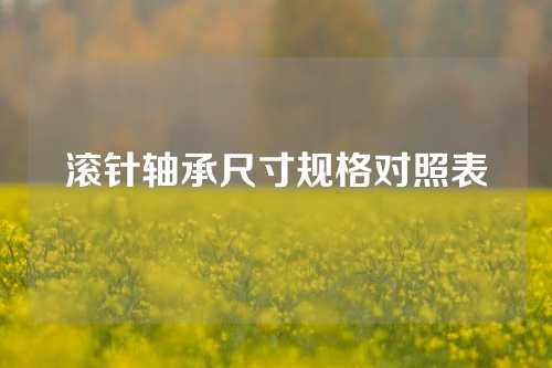 滚针轴承尺寸规格对照表