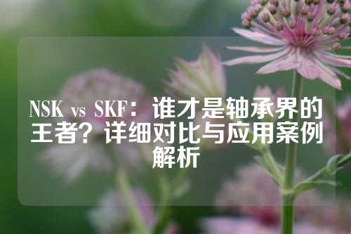 NSK vs SKF：谁才是轴承界的王者？详细对比与应用案例解析