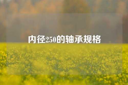 内径250的轴承规格