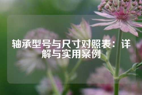 轴承型号与尺寸对照表：详解与实用案例