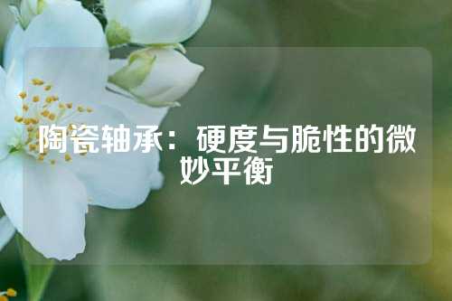 陶瓷轴承：硬度与脆性的微妙平衡