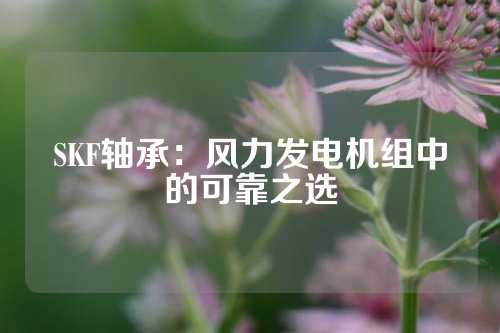 SKF轴承：风力发电机组中的可靠之选