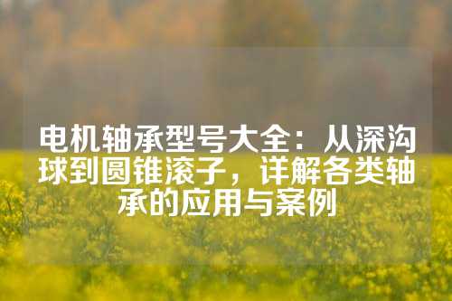 电机轴承型号大全：从深沟球到圆锥滚子，详解各类轴承的应用与案例