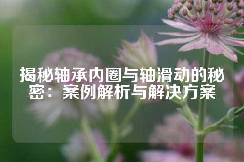 揭秘轴承内圈与轴滑动的秘密：案例解析与解决方案