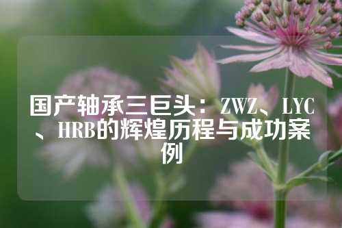 国产轴承三巨头：ZWZ、LYC、HRB的辉煌历程与成功案例