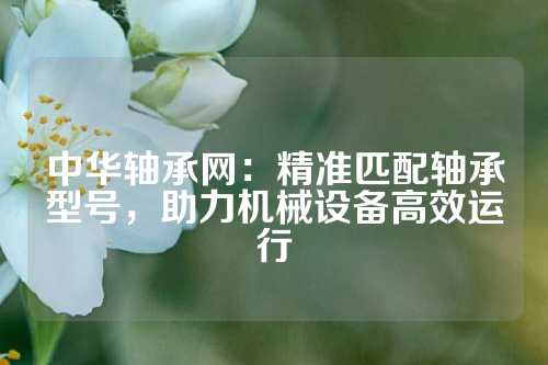 中华轴承网：精准匹配轴承型号，助力机械设备高效运行