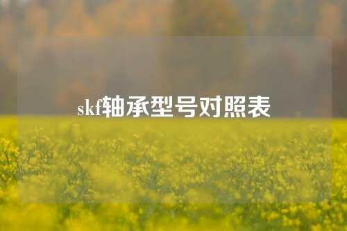 skf轴承型号对照表