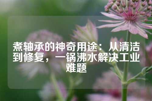 煮轴承的神奇用途：从清洁到修复，一锅沸水解决工业难题