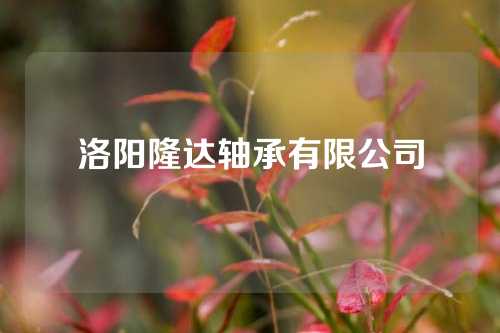 洛阳隆达轴承有限公司