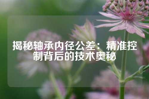 揭秘轴承内径公差：精准控制背后的技术奥秘