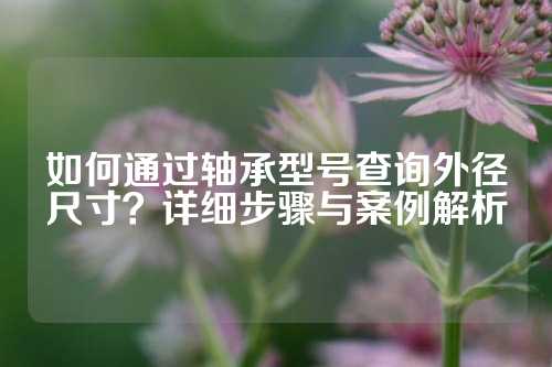 如何通过轴承型号查询外径尺寸？详细步骤与案例解析