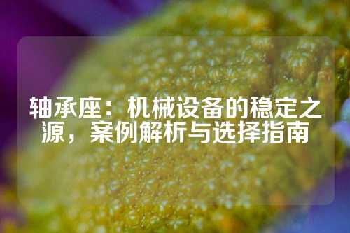 轴承座：机械设备的稳定之源，案例解析与选择指南