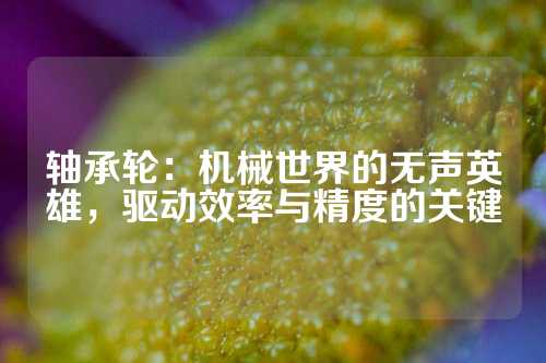 轴承轮：机械世界的无声英雄，驱动效率与精度的关键